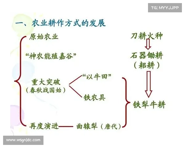 如何深入了解ARS球队的历史背景及其发展演变过程